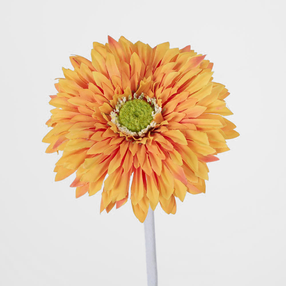 Gerbera Stem Orange 36 pcs