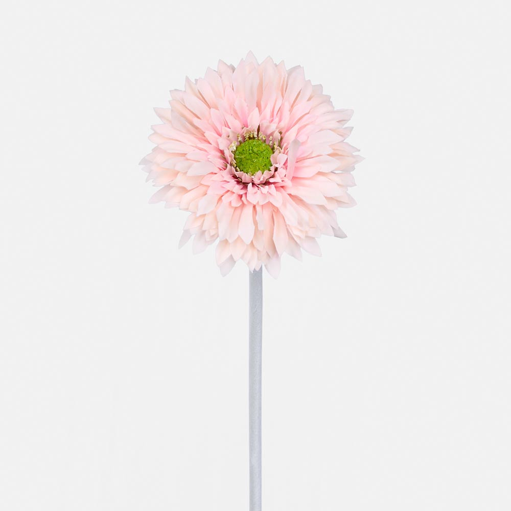 Gerbera Stem Pink 36 pcs