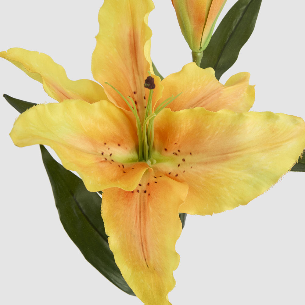 Casablanca Lily 76cm Floral Stem Yellow 6 pcs