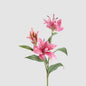 Tiger Lily Spray 71cm Hot Pink 6 pcs