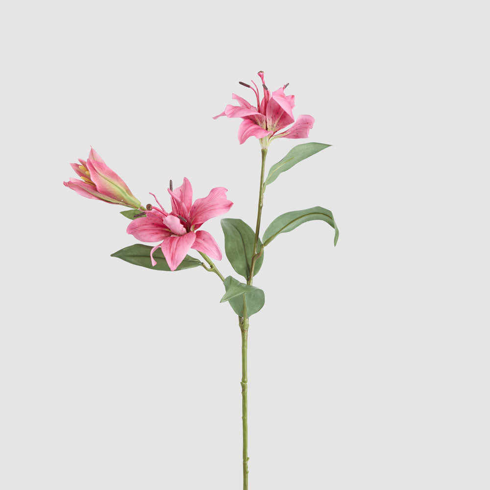 Tiger Lily Spray 71cm Hot Pink 6 pcs