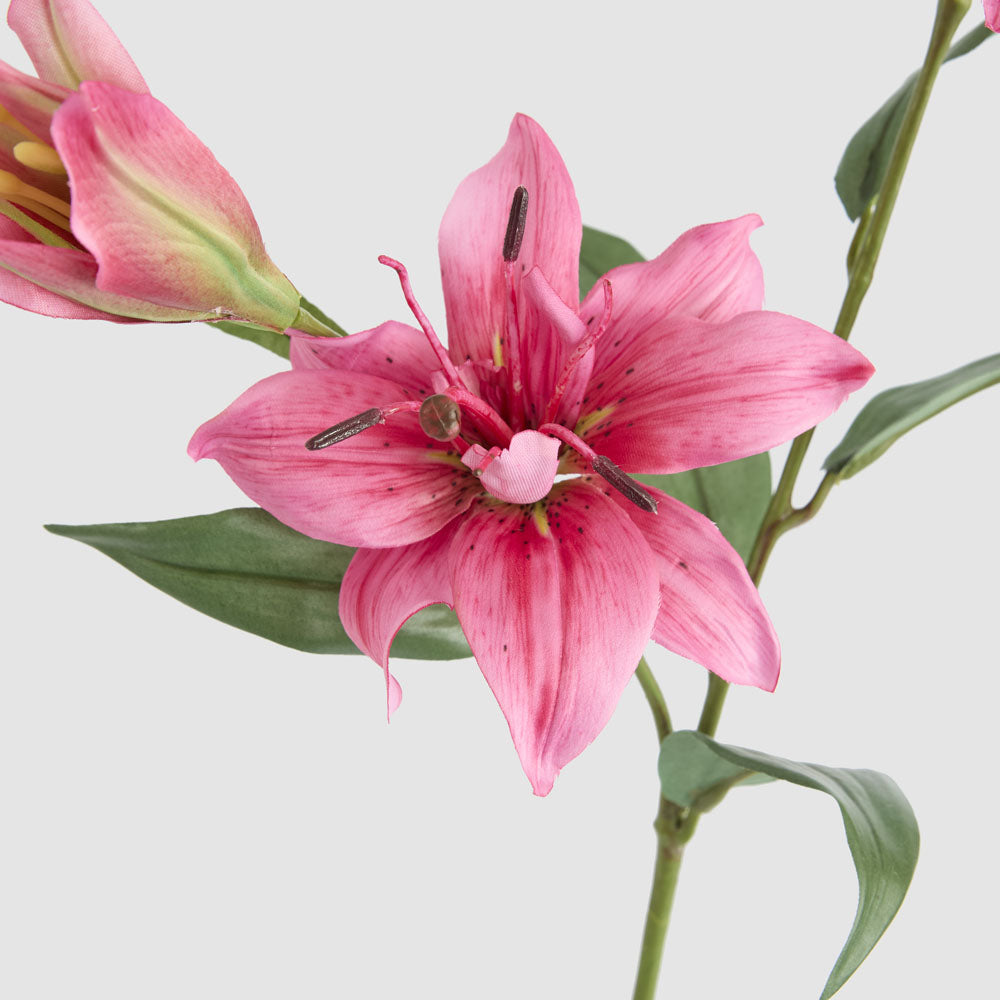 Tiger Lily Spray 71cm Hot Pink 6 pcs