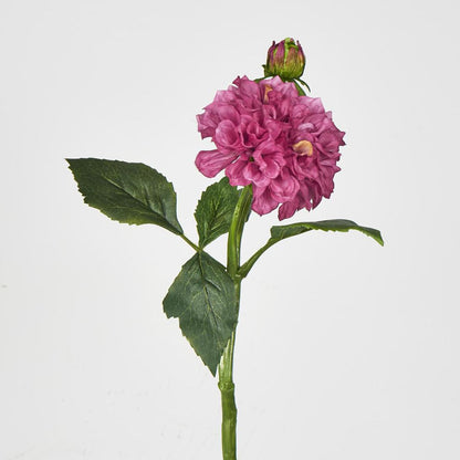 Frilly Dahlia Dark Pink 12 pcs