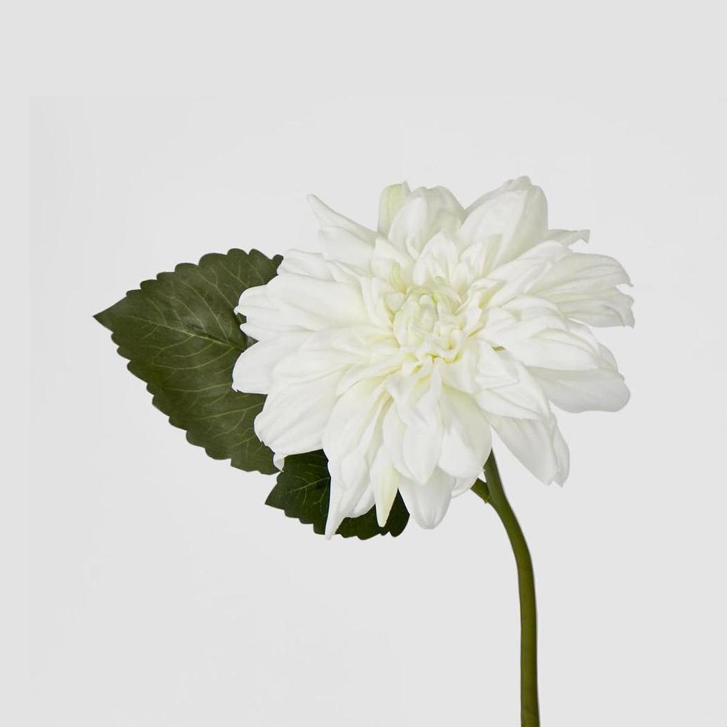 Dahlia 28cm White 6 pcs