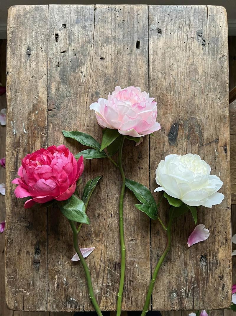 Peony Short Stem White 12 pcs