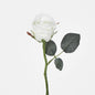 Jessica Rose Bud 31cm White 12 pcs