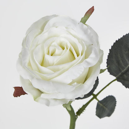 Jessica Rose Bud 31cm White 12 pcs