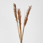 Pampas Grass Spray Brown 12 pcs