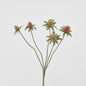 Thistle Spray Red 12 pcs