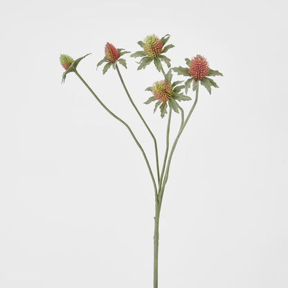 Thistle Spray Red 12 pcs
