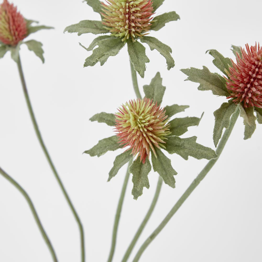 Thistle Spray Red 12 pcs