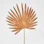 Sun Palm Leaf Brown 12 pcs