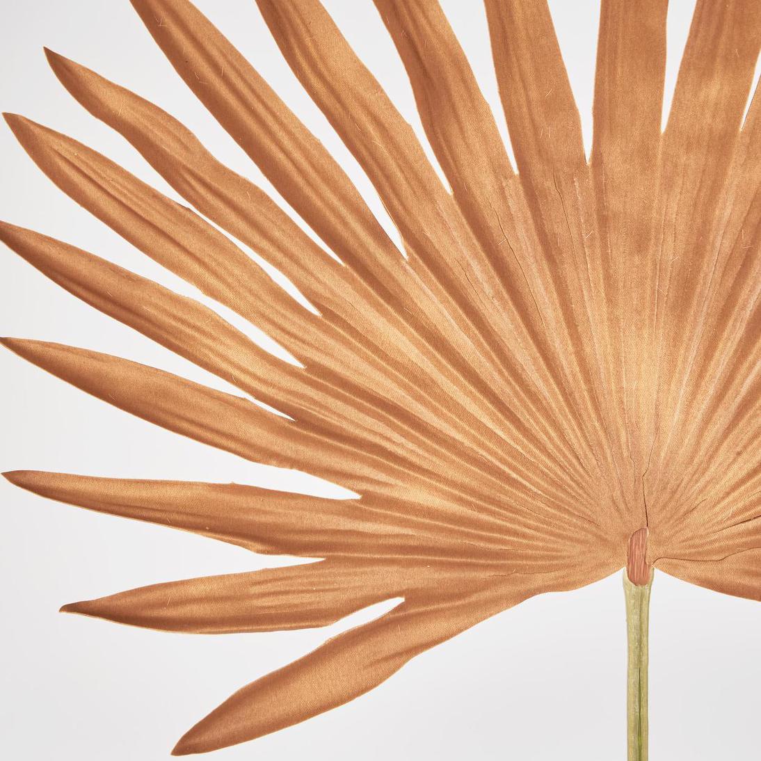 Sun Palm Leaf Brown 12 pcs