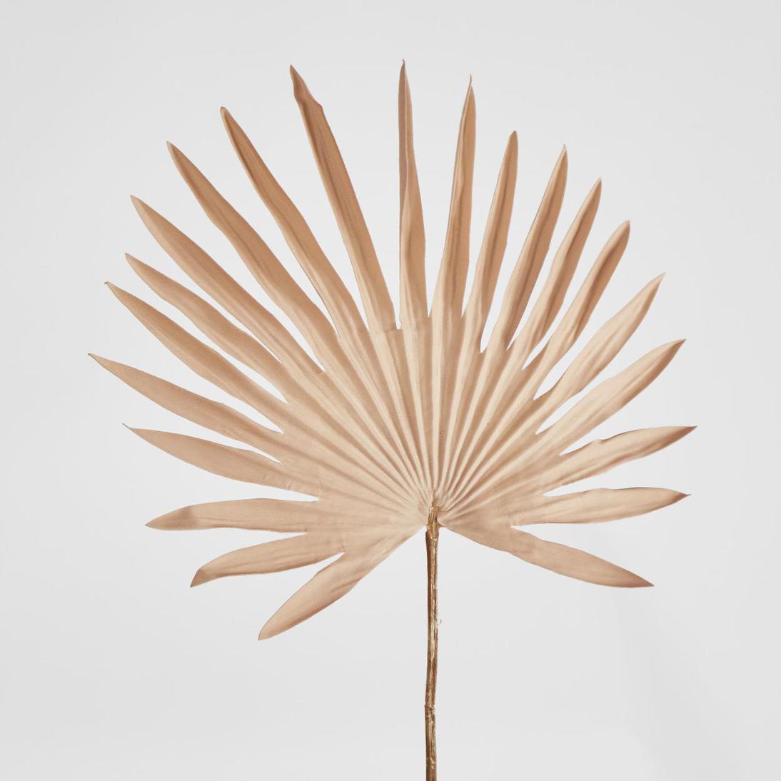 Sun Palm Leaf Light Brown 12 pcs
