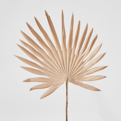Sun Palm Leaf Light Brown 12 pcs