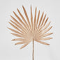 Sun Palm Leaf Light Brown 12 pcs