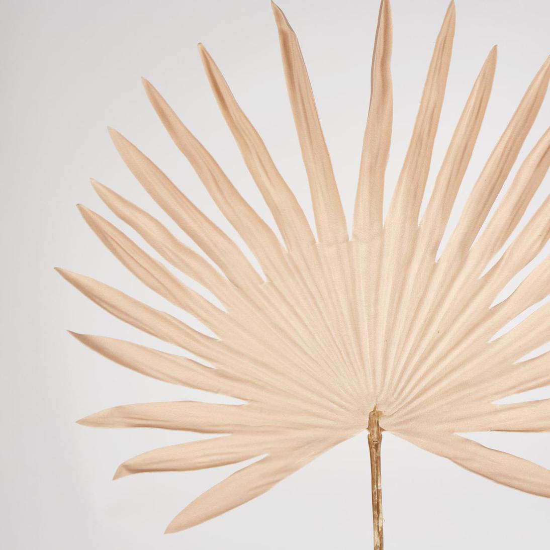 Sun Palm Leaf Light Brown 12 pcs