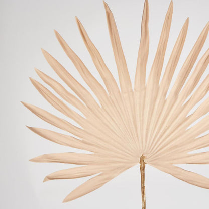 Sun Palm Leaf Light Brown 12 pcs