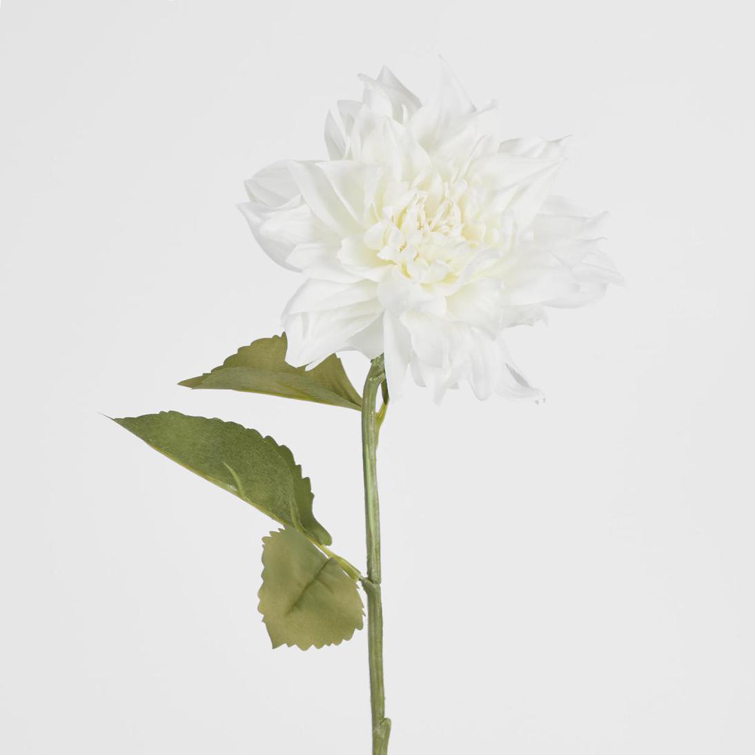 Dahlia 62cm White 6 pcs
