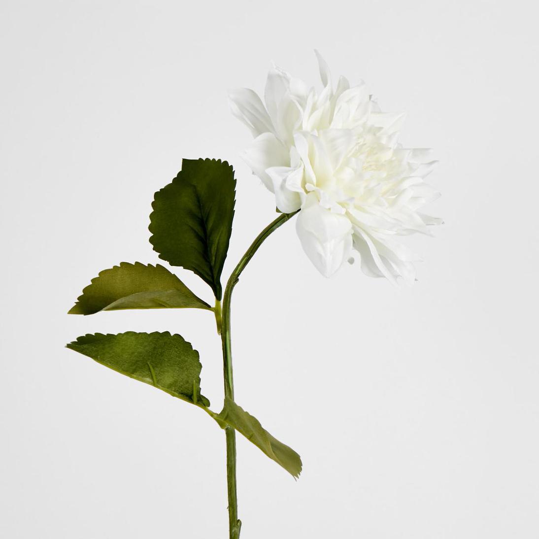 Dahlia 62cm White 6 pcs