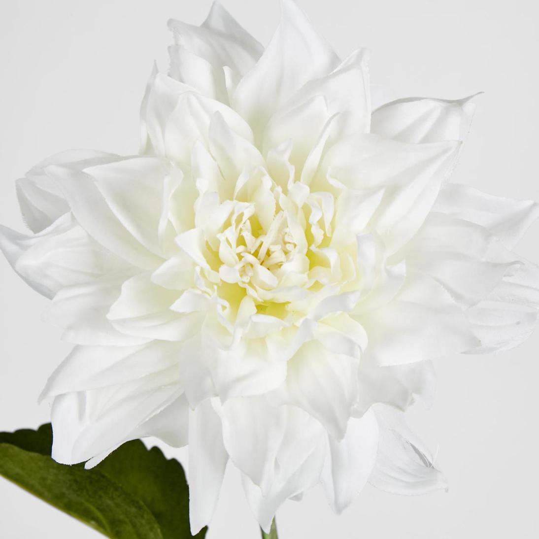 Dahlia 62cm White 6 pcs