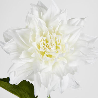 Dahlia 62cm White 6 pcs