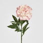 Peony Stem 66cm Pink 6 pcs