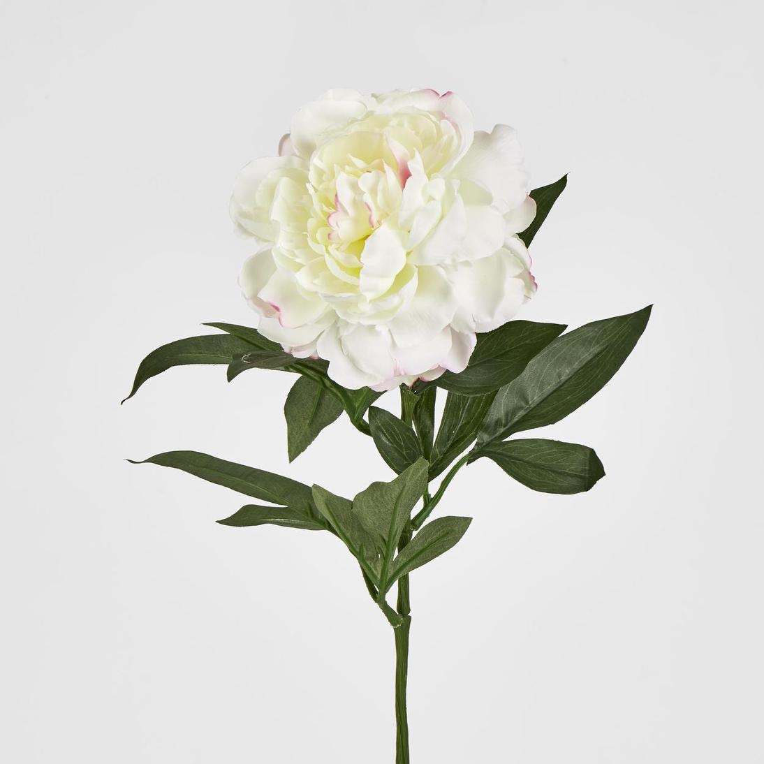 Peony Stem 66cm White 6 pcs