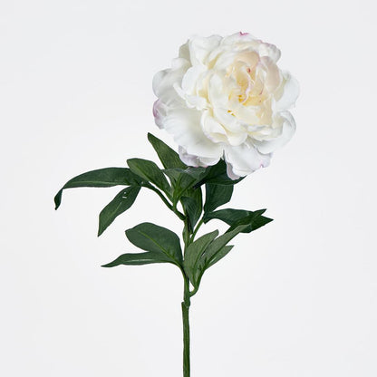 Peony Stem 66cm White 6 pcs