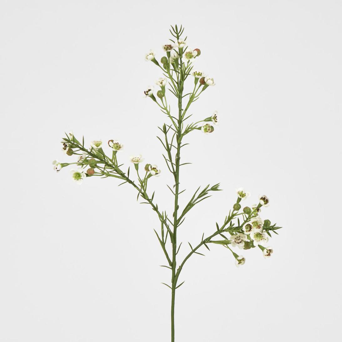Wax Flower Cream 64cm 6 pcs