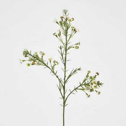 Wax Flower Cream 64cm 6 pcs