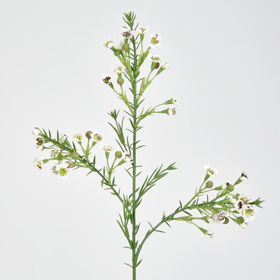 Wax Flower Cream 64cm 6 pcs