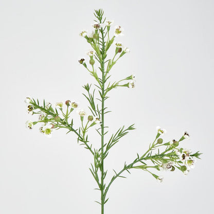 Wax Flower Cream 64cm 6 pcs