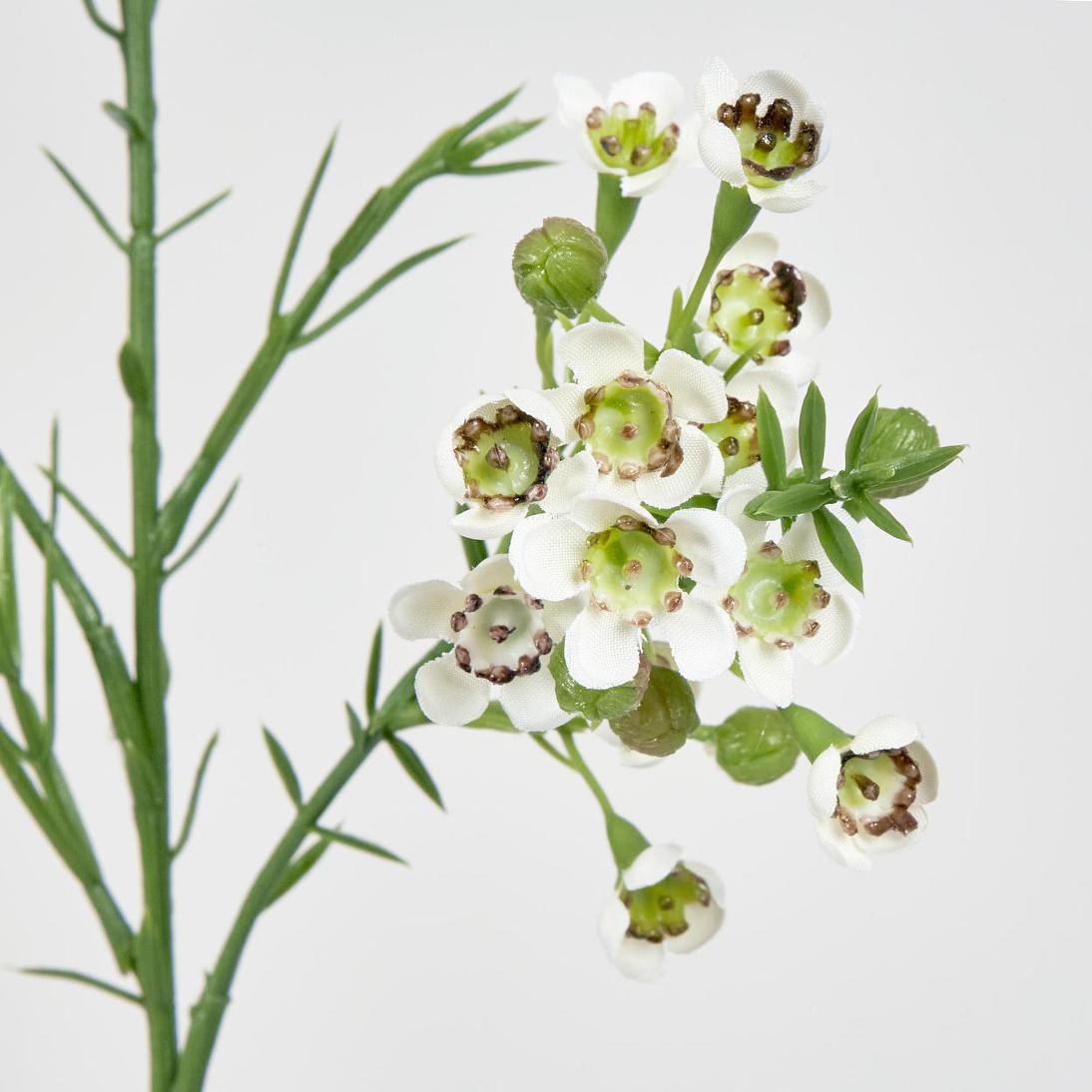 Wax Flower Cream 64cm 6 pcs