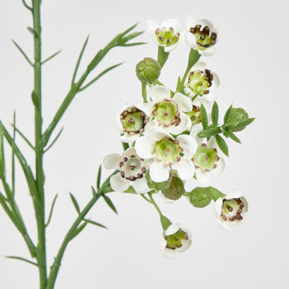 Wax Flower Cream 64cm 6 pcs