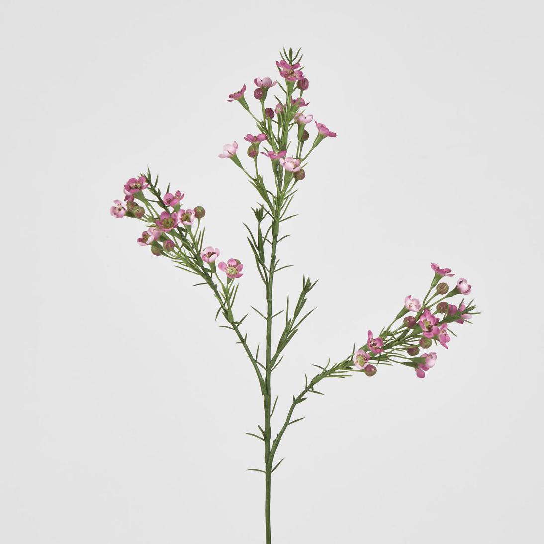 Wax Flower Dark Pink 64cm 6 pcs