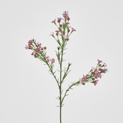 Wax Flower Dark Pink 64cm 6 pcs