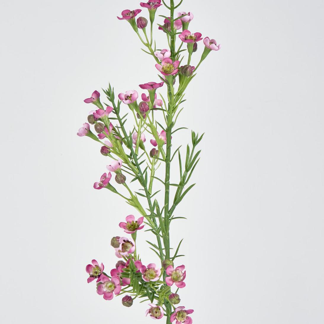 Wax Flower Dark Pink 64cm 6 pcs