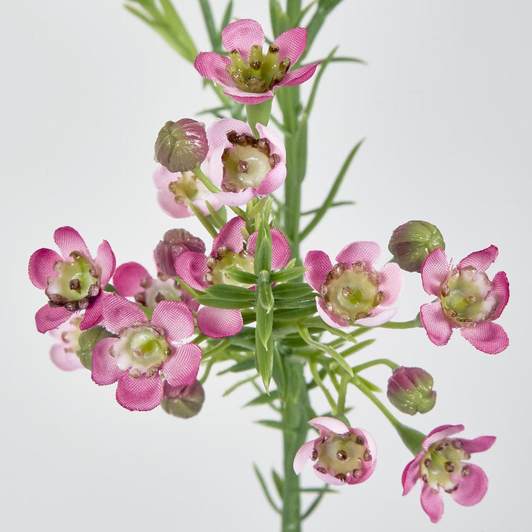 Wax Flower Dark Pink 64cm 6 pcs