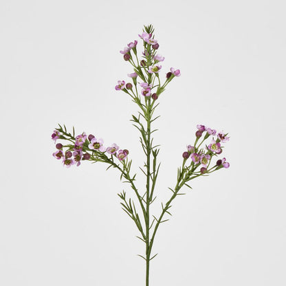 Wax Flower Lilac 64cm 6 pcs