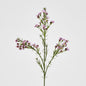 Wax Flower Lilac 64cm 6 pcs