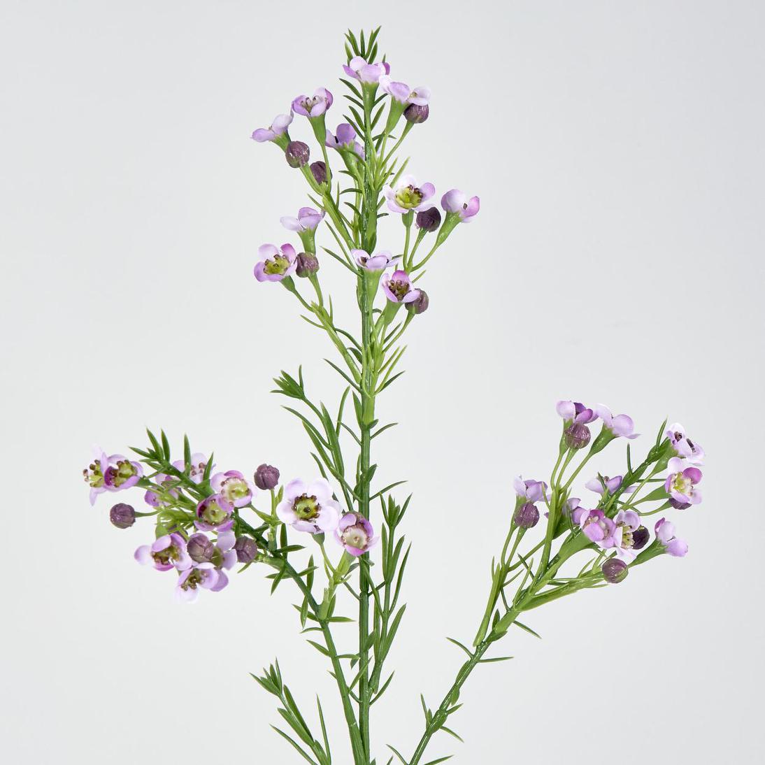 Wax Flower Lilac 64cm 6 pcs
