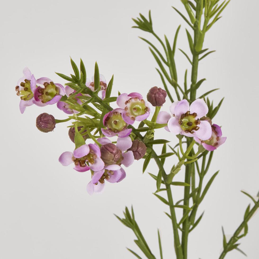 Wax Flower Lilac 64cm 6 pcs