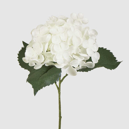 Hydrangea 62cm White 6 pcs