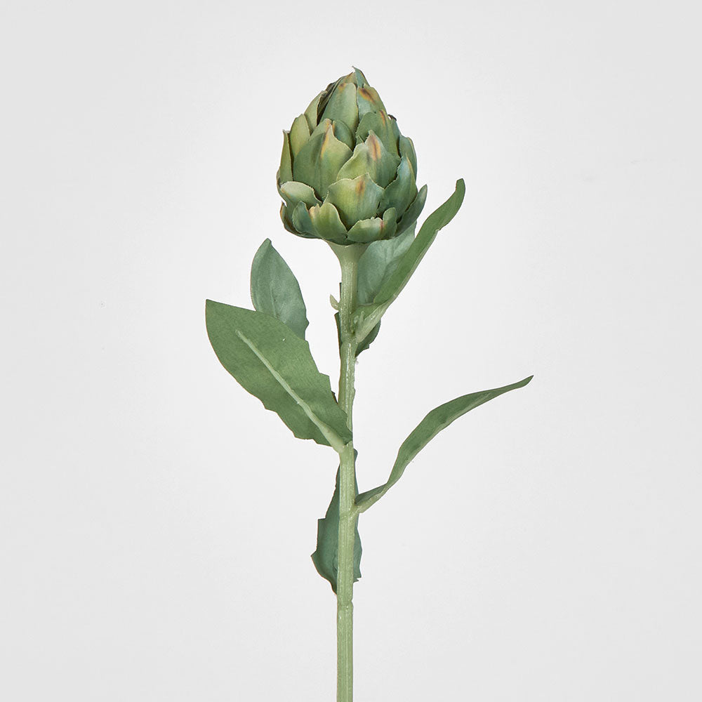 Artichoke Stem 58cm Green 12 pcs
