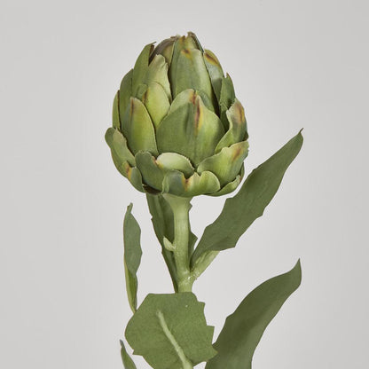 Artichoke Stem 58cm Green 12 pcs