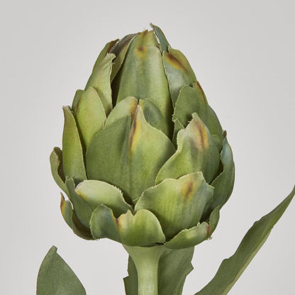Artichoke Stem 58cm Green 12 pcs