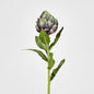 Artichoke Stem 58cm Purple 12 pcs