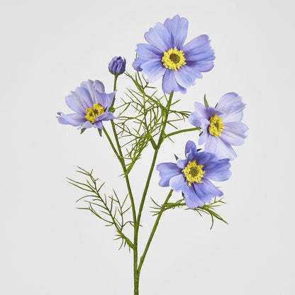 Cosmos Spray 64cm Lavender 12 pcs