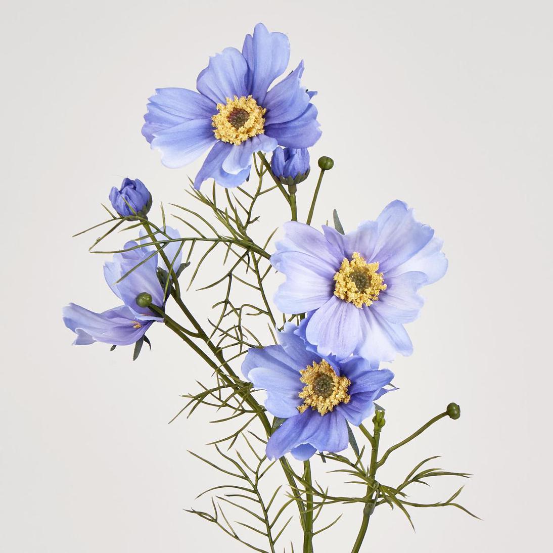 Cosmos Spray 64cm Lavender 12 pcs